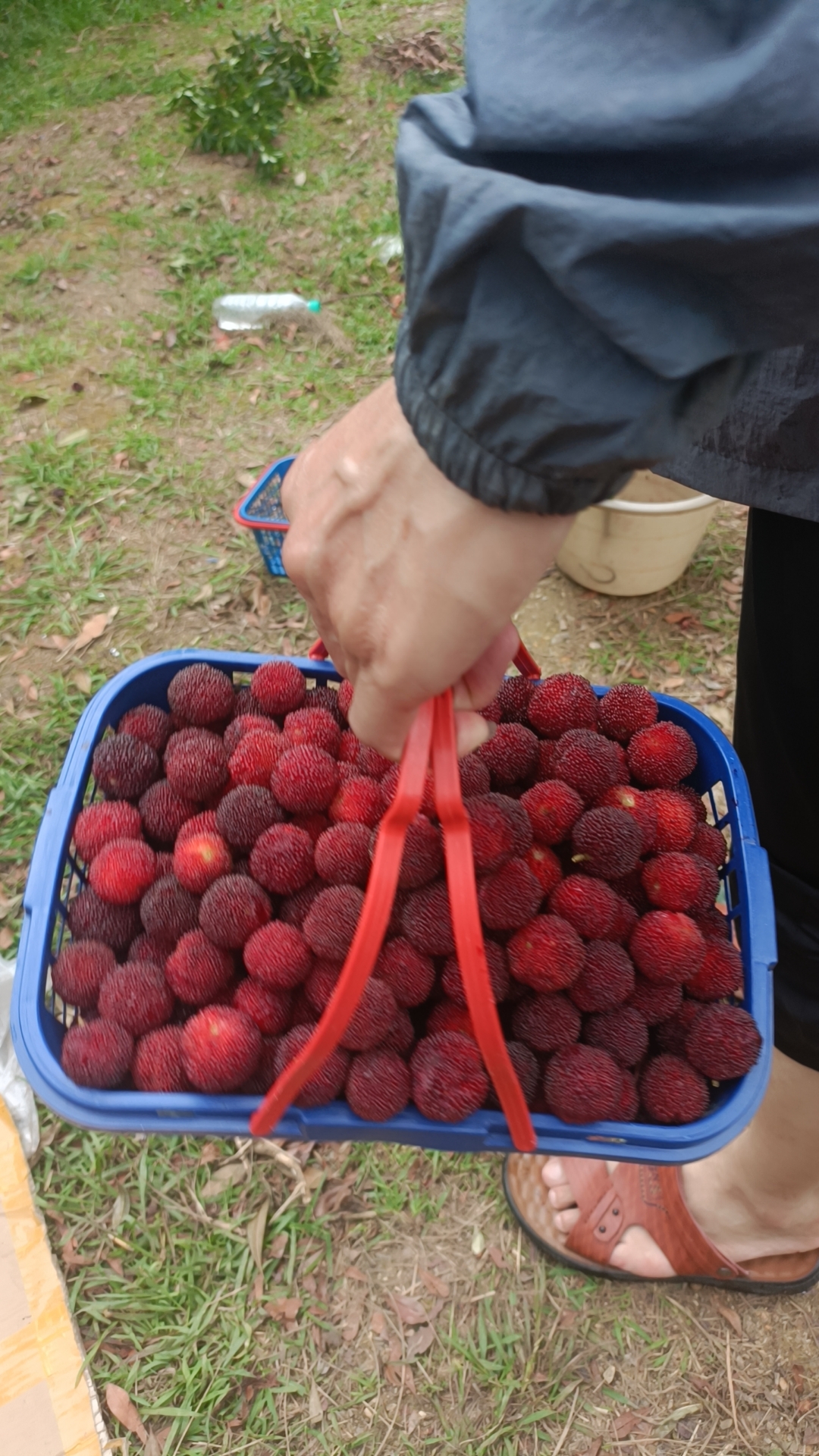 434e61bf75d5069fc6a1ad013fe62e1.jpg 434e61bf75d5069fc6a1ad013fe62e1.jpg